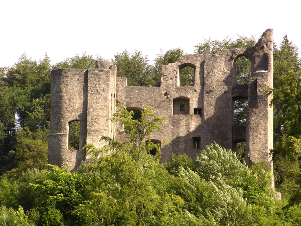 Das Bild zeigt die Ruine Herrenzimmern im Sommer. 