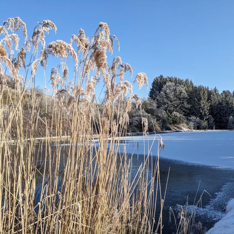 Das Bild zeigt den gefrorenen Grabenwaldsee. 